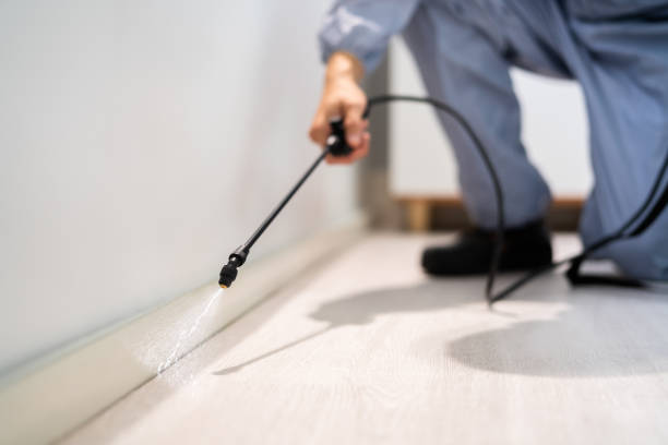Licensed Cockroach Control service in Carthage, IL - Nex Pest Control