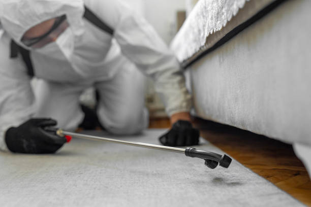 Professional Cockroach Control technician working in Carthage, IL