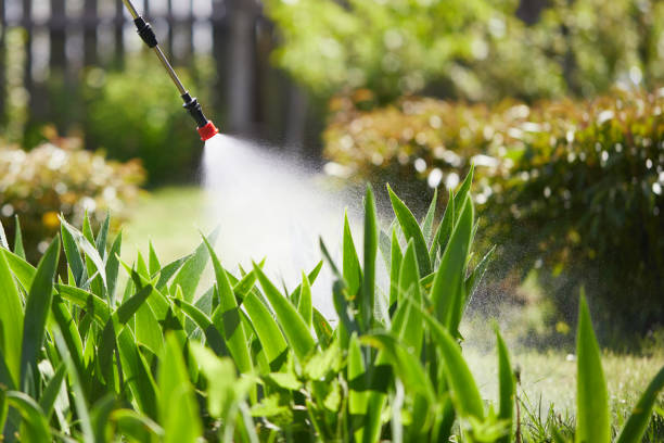 24/7 Emergency Cockroach Control experts in Carthage, IL