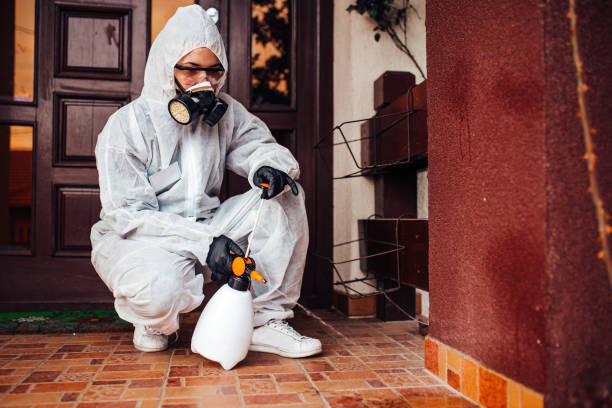 Reliable Cockroach Control contractor in Carthage, IL by Nex Pest Control