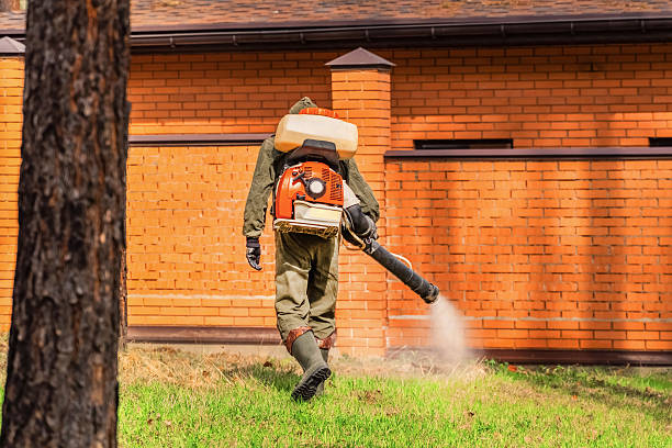 Top rated local Cockroach Control specialists in Carthage, IL